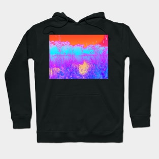 Summer pond Hoodie